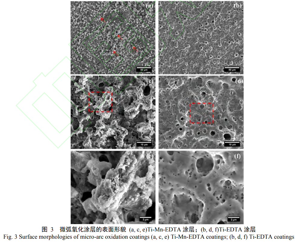 微弧氧化制備醫用鈦合金生物復合涂層研究進展