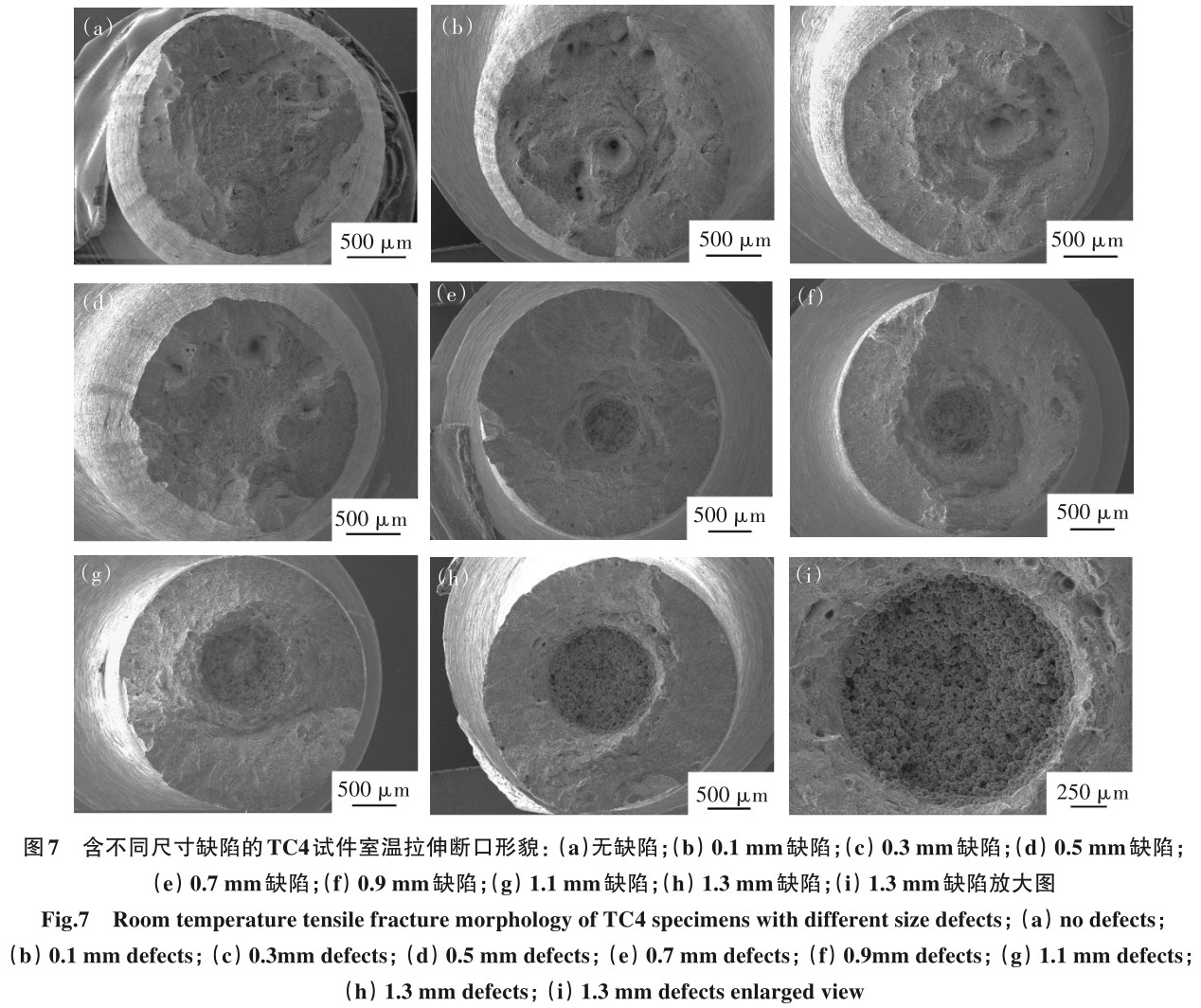 1704850830915401.jpg t7.jpg