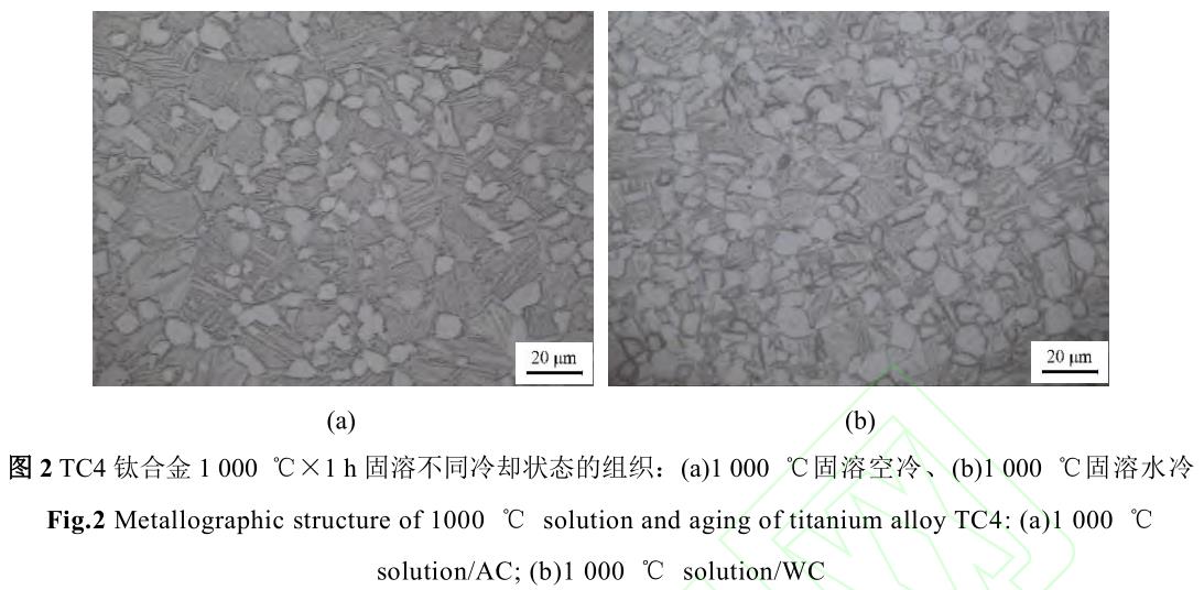 1720272732867962.jpg 360截圖16680906106113142.jpg