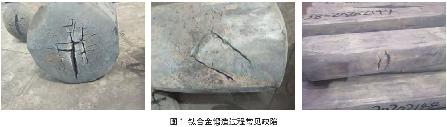 1723515332965207.jpg 未標題-2.jpg