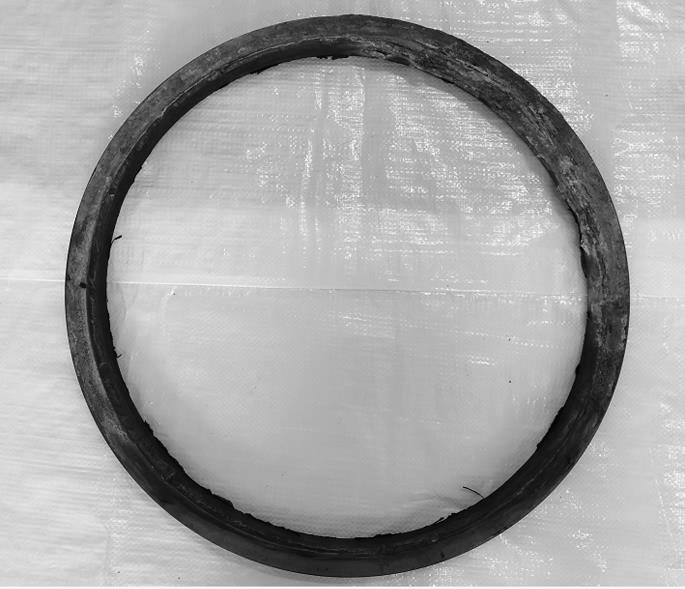 1723518369171918.jpg 2.jpg