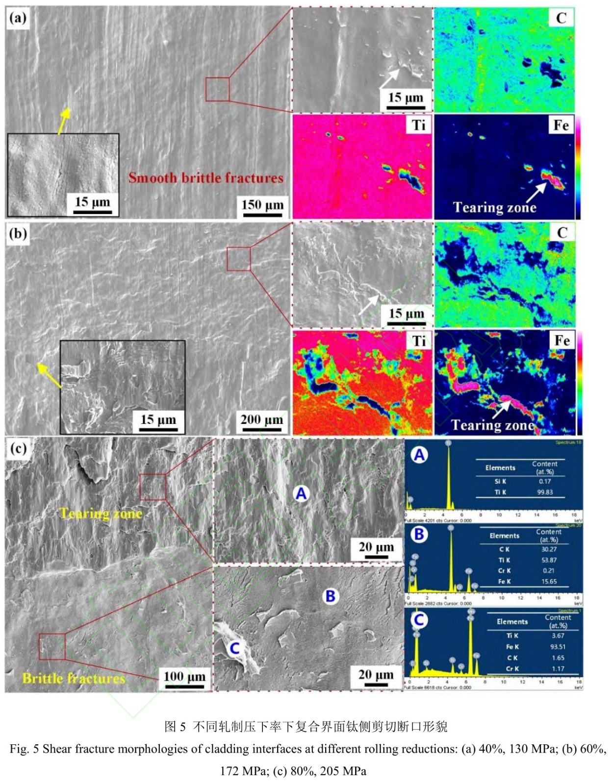 1728563844180776.jpg t5.jpg